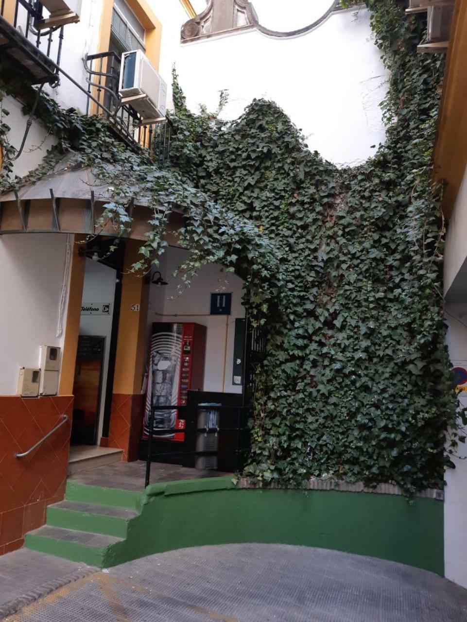 Hostal Alcobia Sevilla Kültér fotó